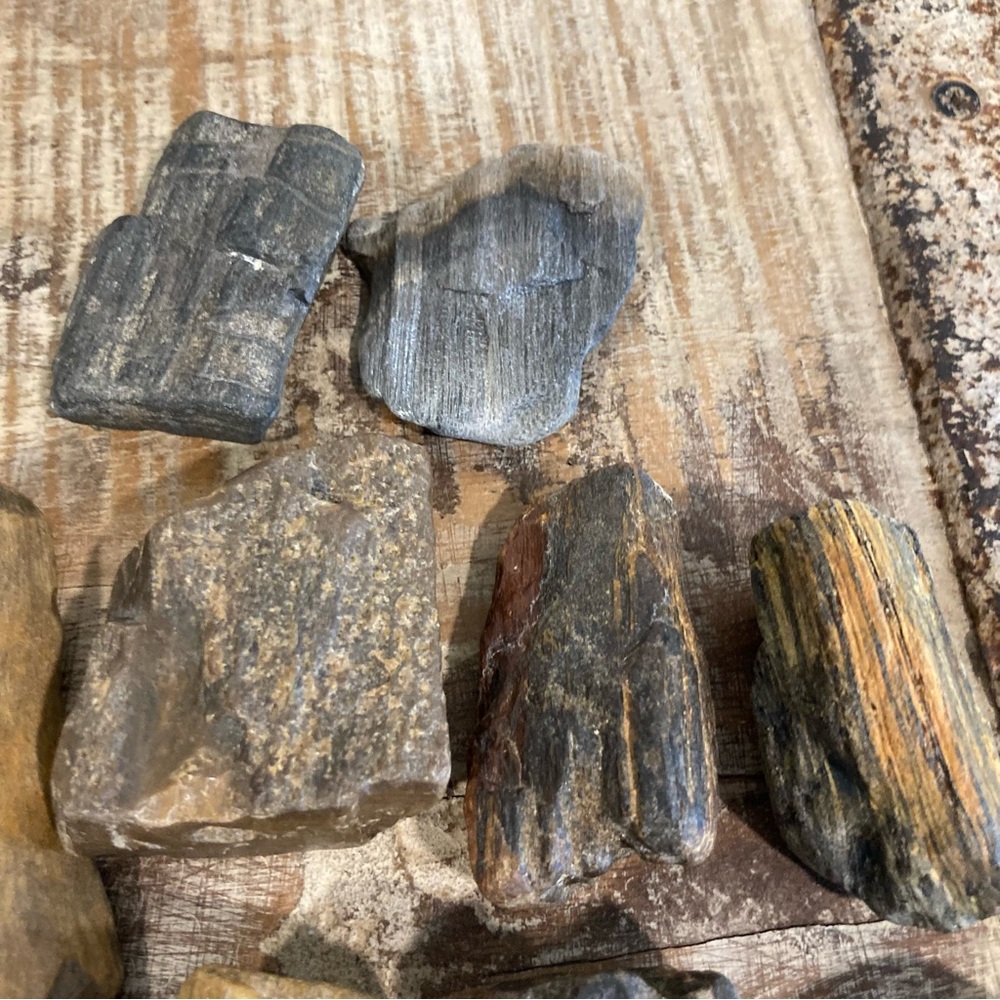 17pcs Petrified Wood 🪵 Rock Collection - Picture 7 of 17